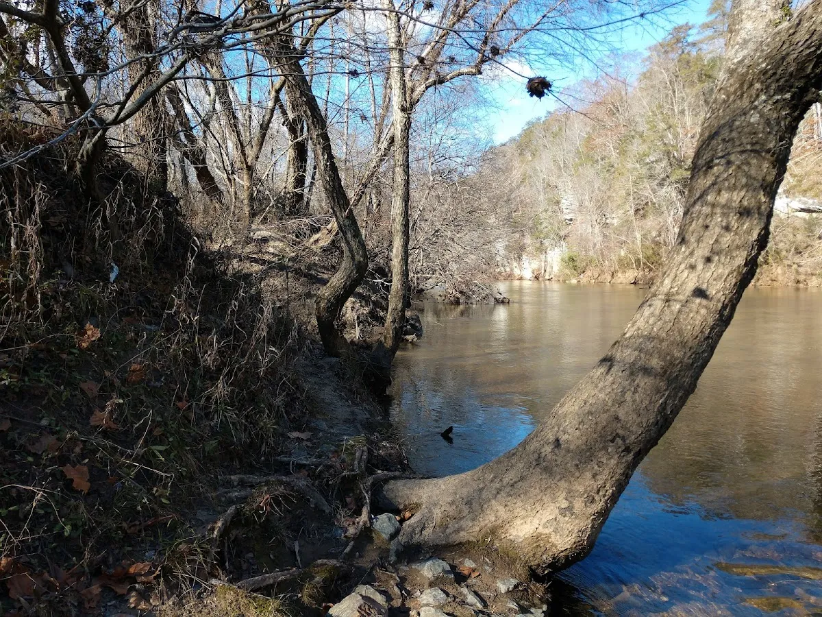 Dan River Access Point & Parking Lot
