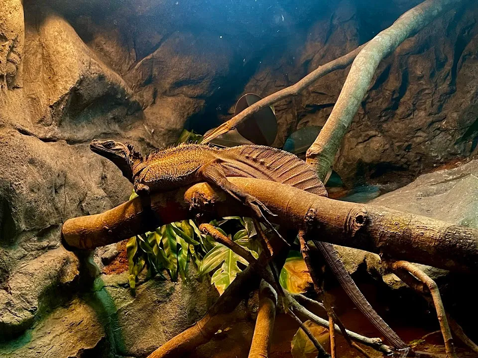 Daytona Aquarium & Rainforest Adventure