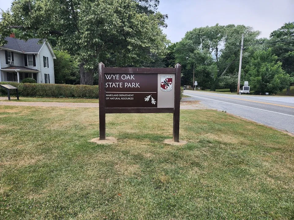 Wye Oak State Park