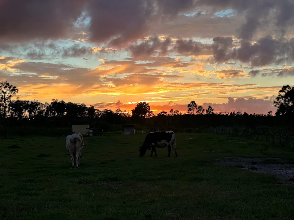 Parsley Lane Farm