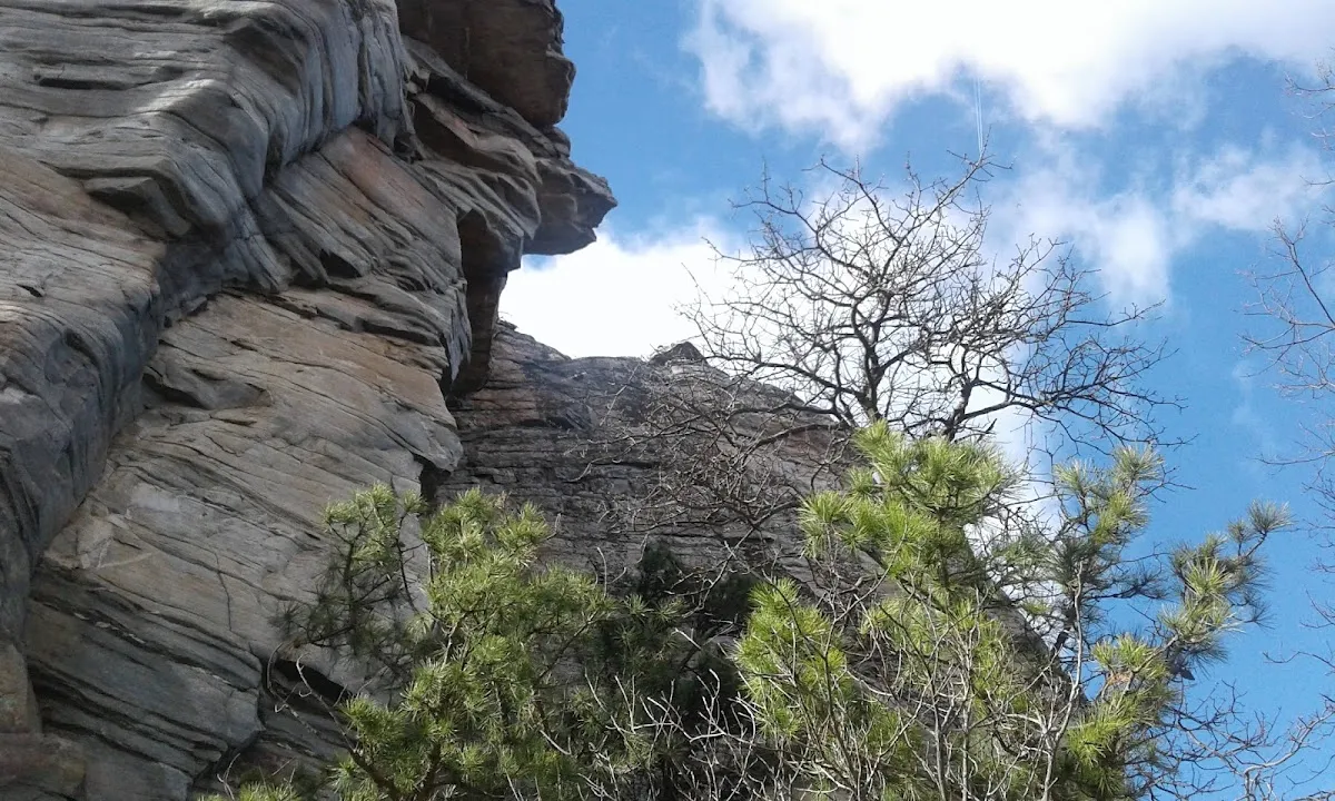Pinnacle Lions Park