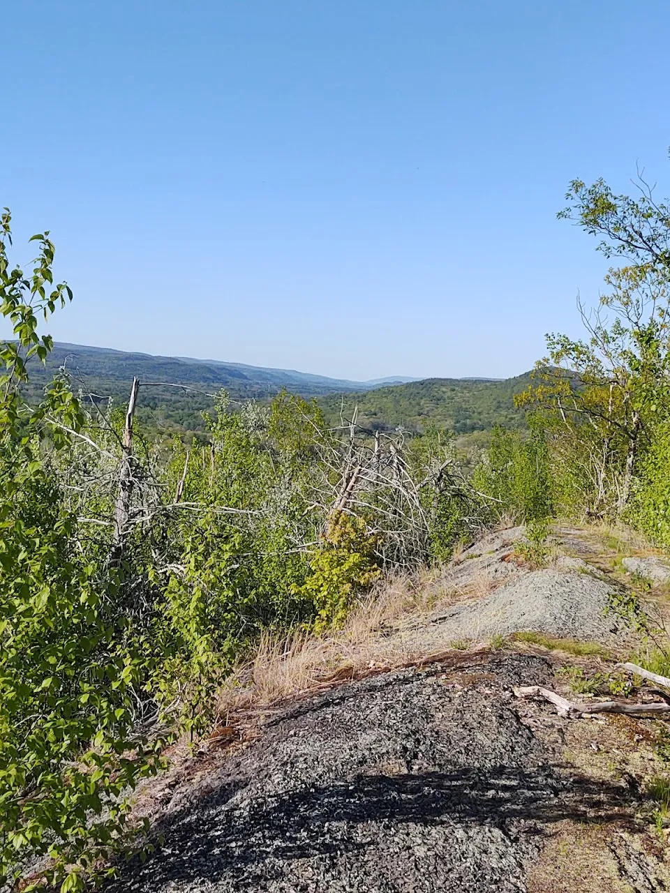 Lenape Ridge