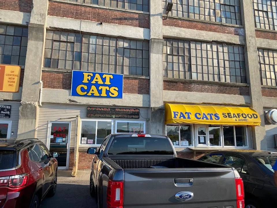Fat Cats