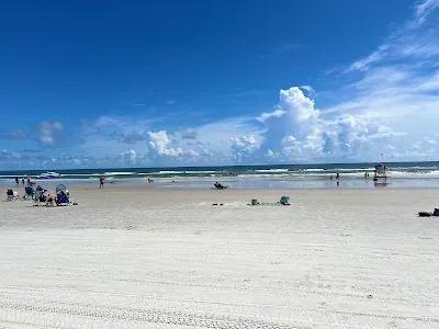 New Smyrna Dunes Dog Beach