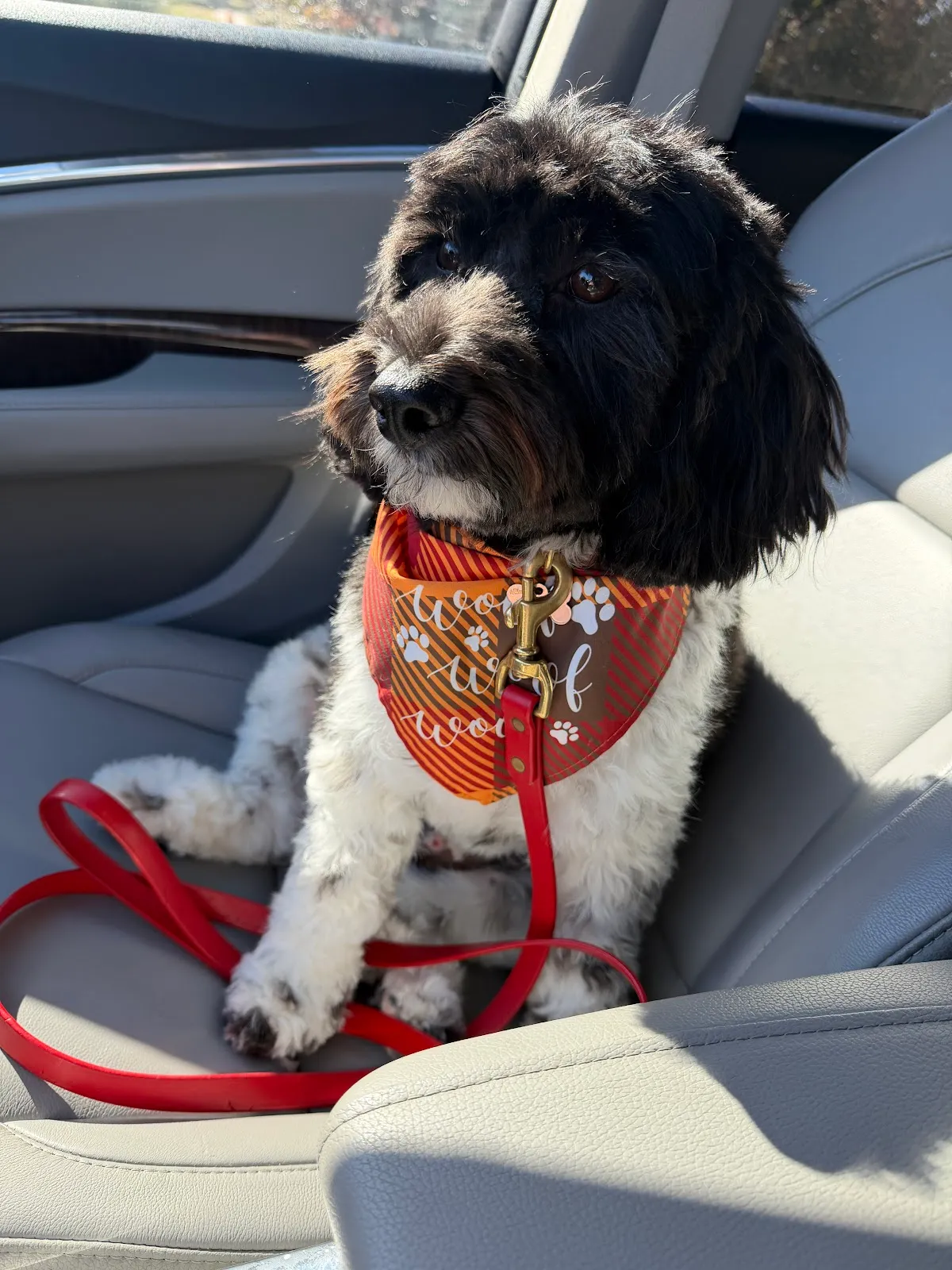 Woof Gang Bakery & Grooming