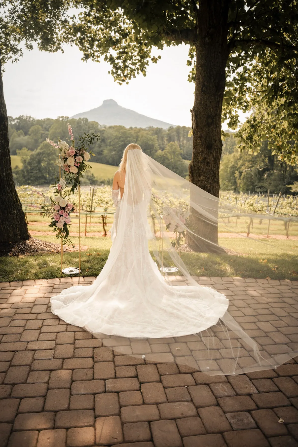 Weddings at Pilot Mountain Vineyards