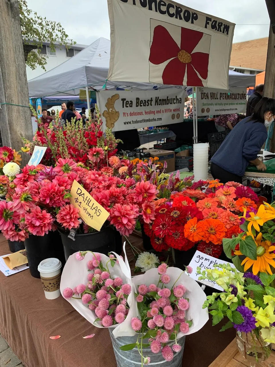Blacksburg Farmers Market & Market Square Park