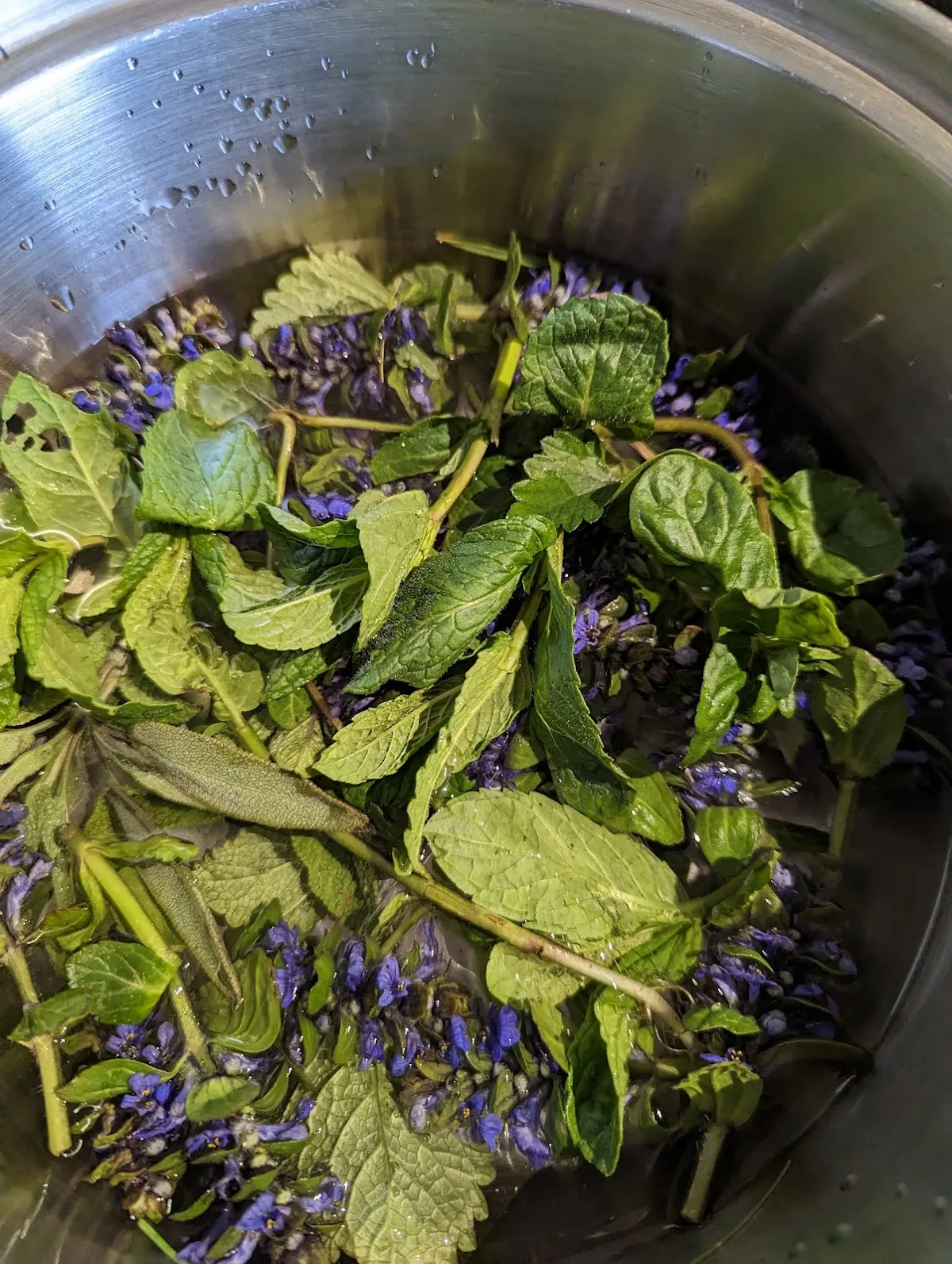 The Moringa Tree Organic Kitchen and Wellness Studio