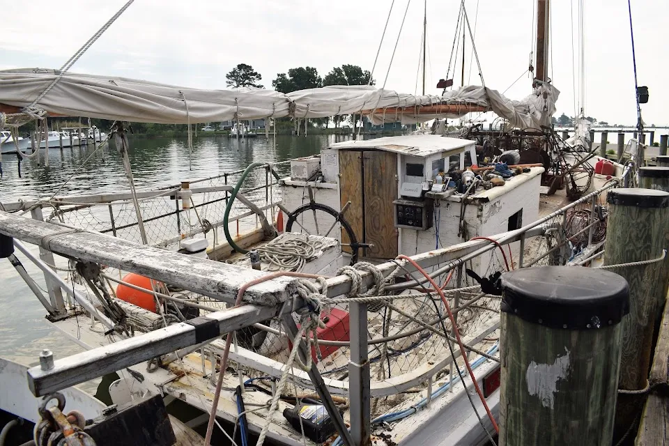 Dogwood Harbor