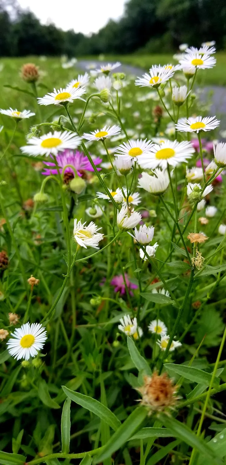 Hamptonburgh Town Park