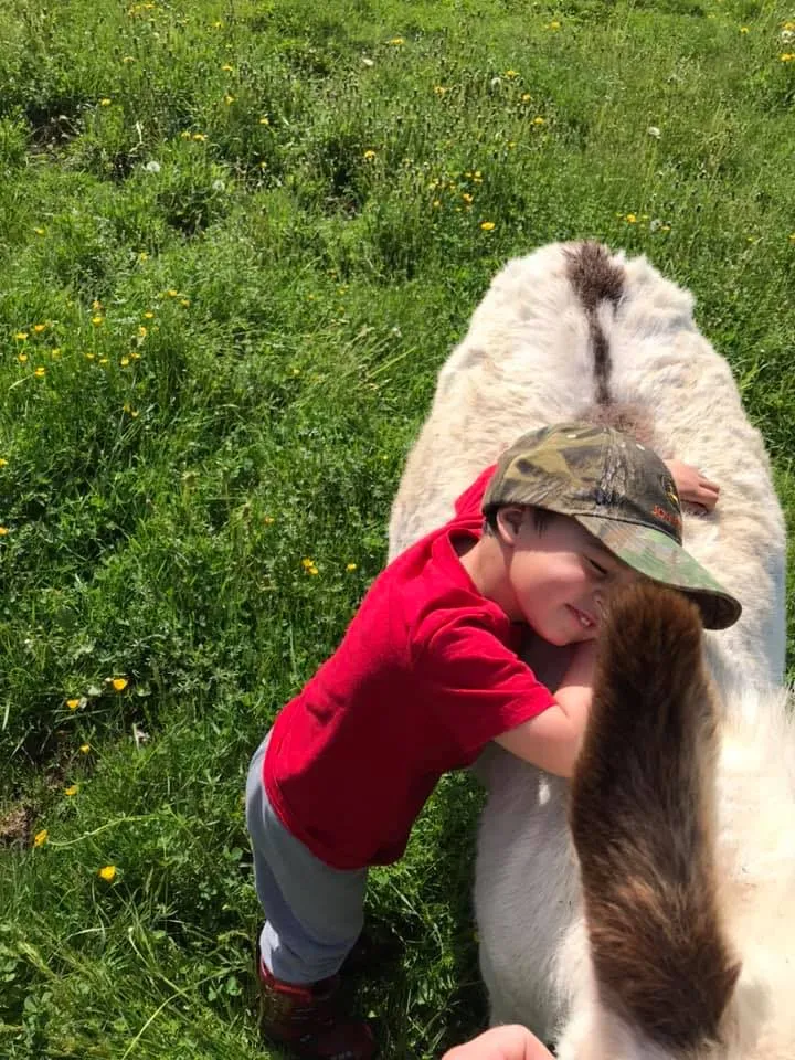 Sanctuary Dairy Farm Ice Cream
