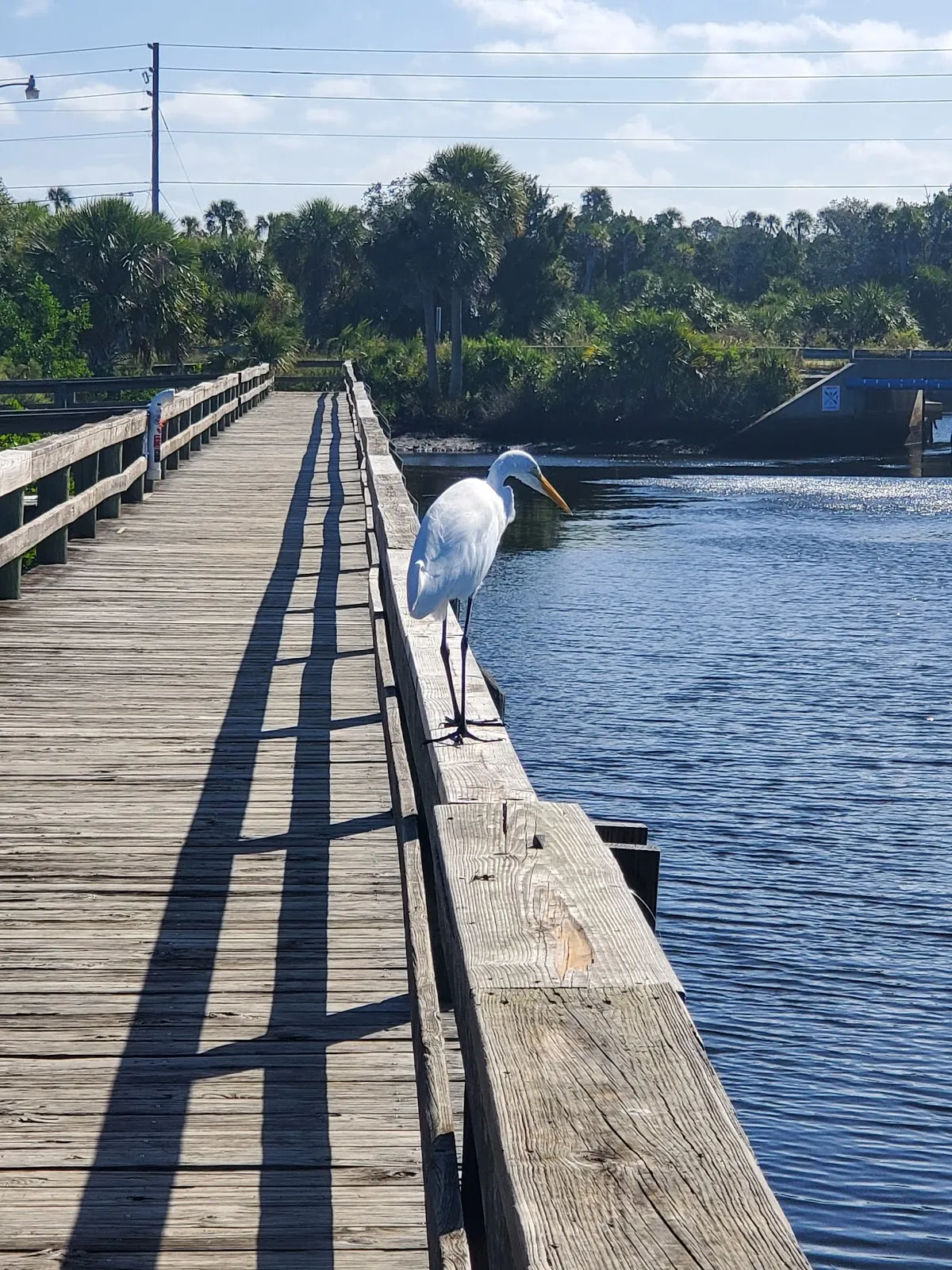 Jenkin's Creek Park Fishing pier