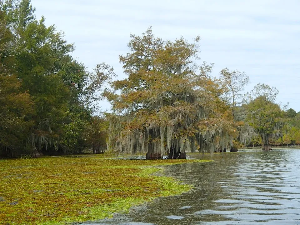 Lake Marion