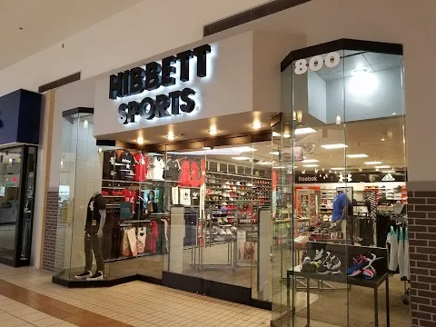Hibbett
