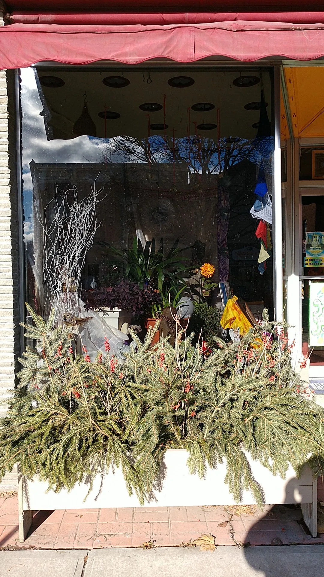Vijaya's Clothing Boutique
