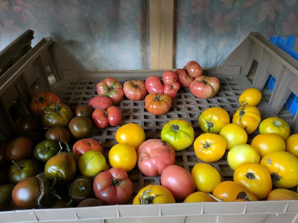 LeClair Acres Farm Stand