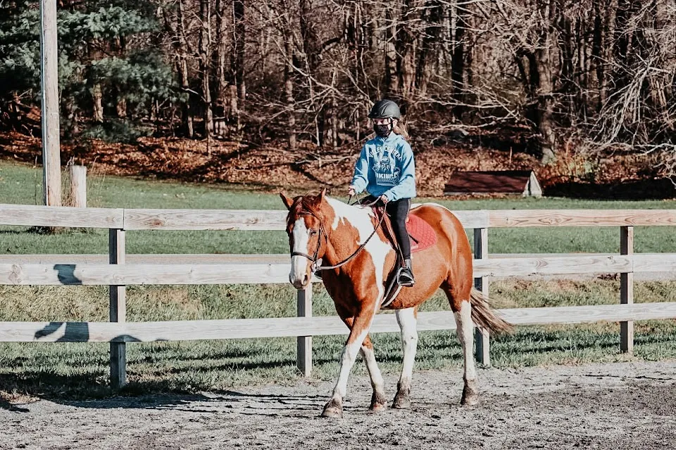Hollow Hill Farm, llc