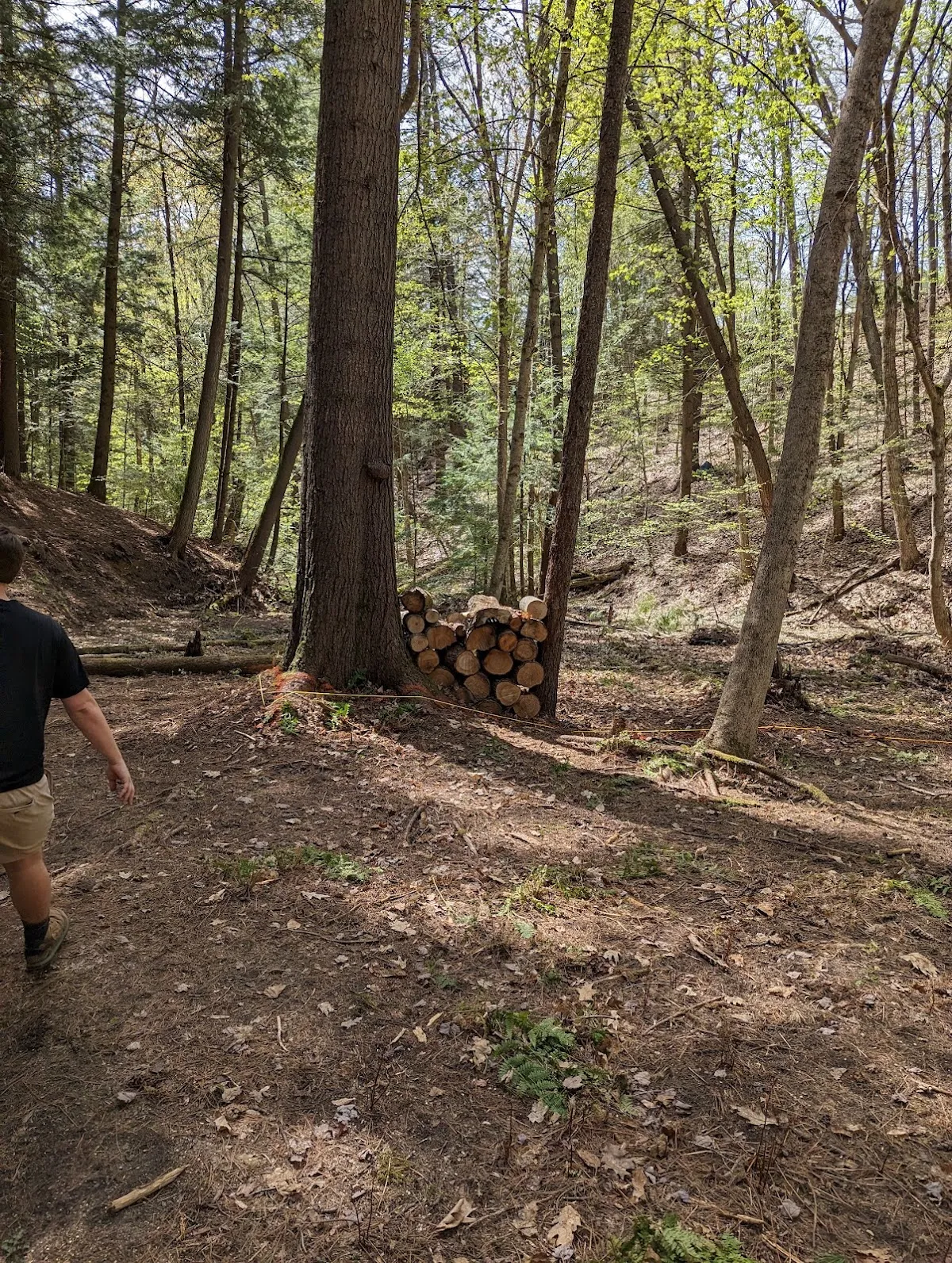 Moody Park Disc Golf Course