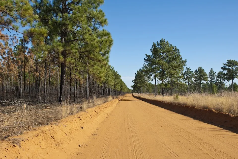 Mid Carolina Timber Company