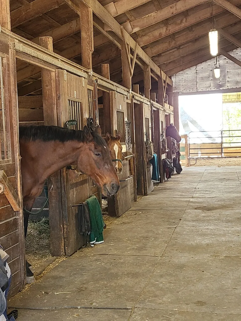 Saddle Brook Farm Animal Rescue