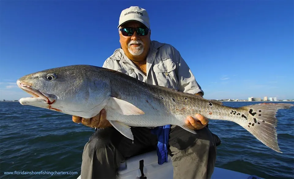 Florida Inshore Fishing Charters