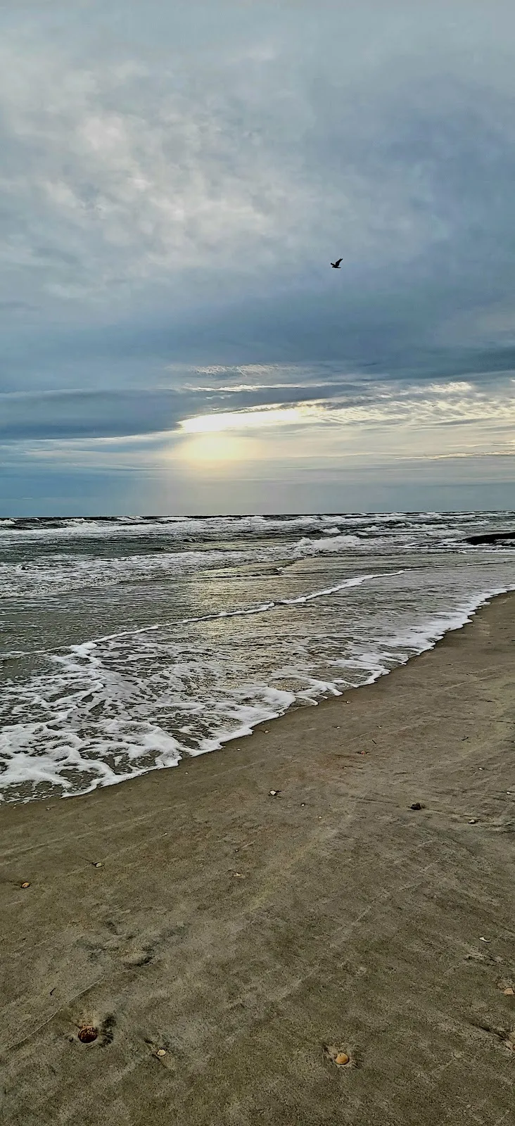 Public Beach Access