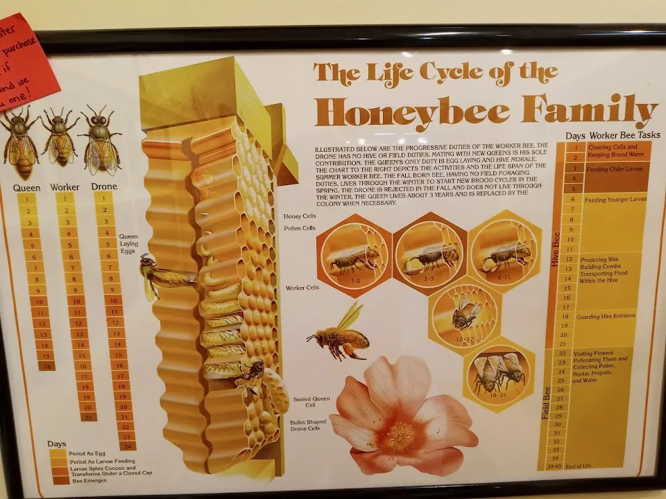 Blue Ridge Honey Company