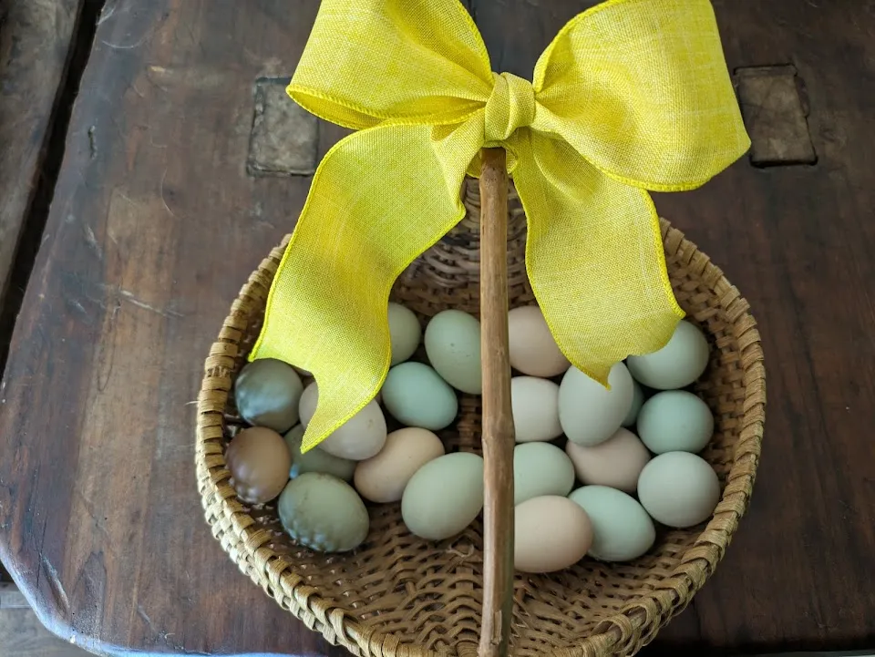 Bird Nest Farm