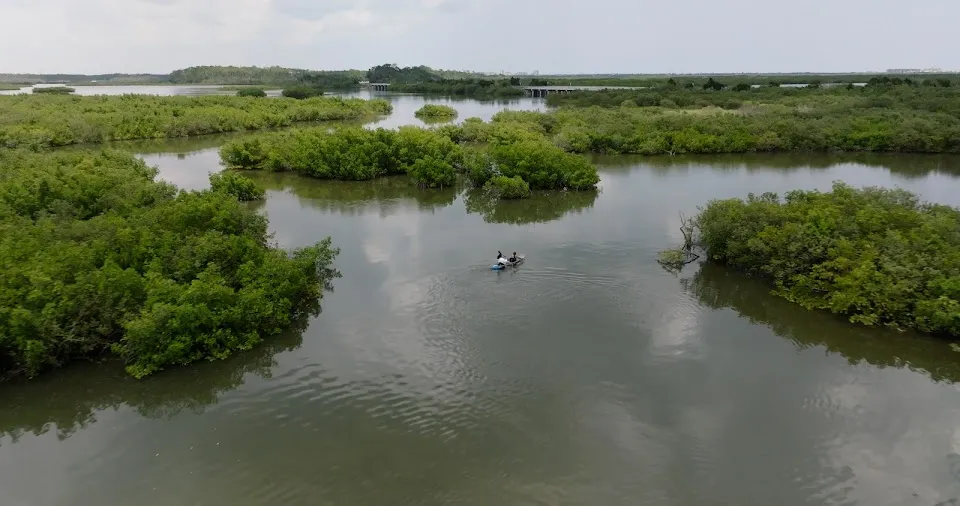 Get Up And Go Kayaking - New Smyrna Beach