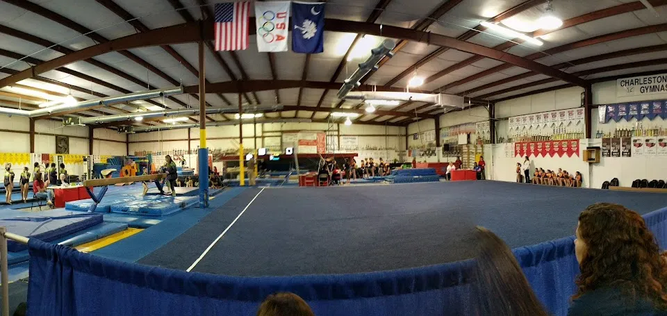 Davita's Funtastic Gymnastics
