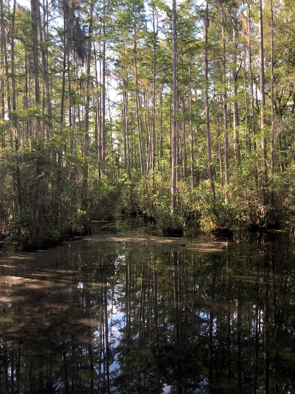 Woods Bay State Park