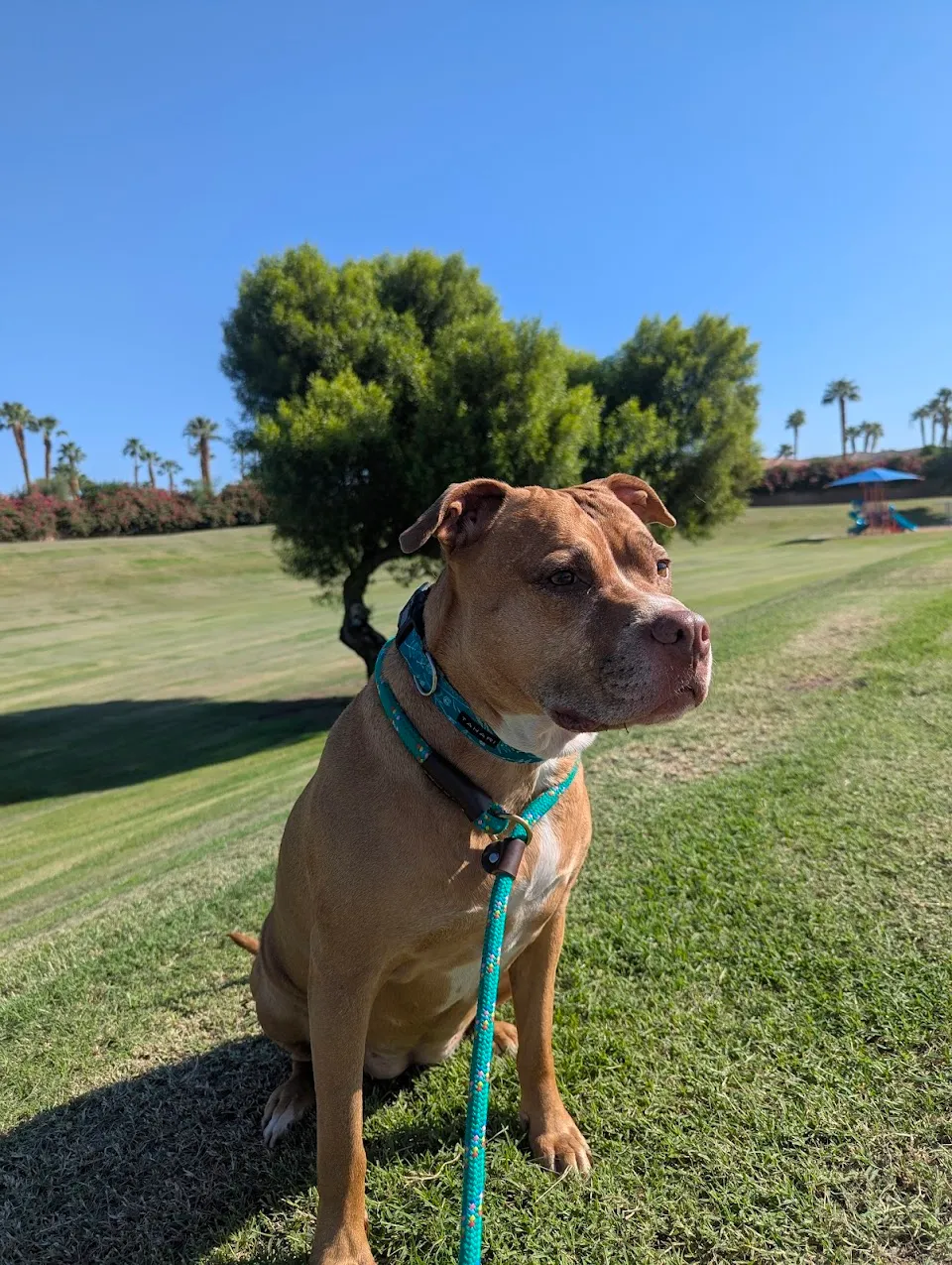 Seasons Park