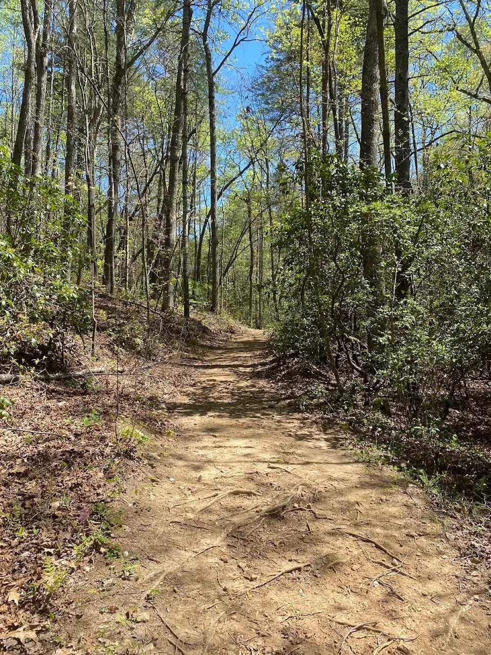 Rabun County Recreation