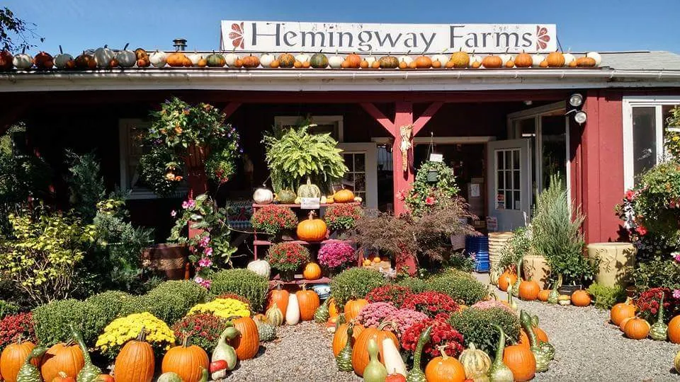 Hemingway Farms