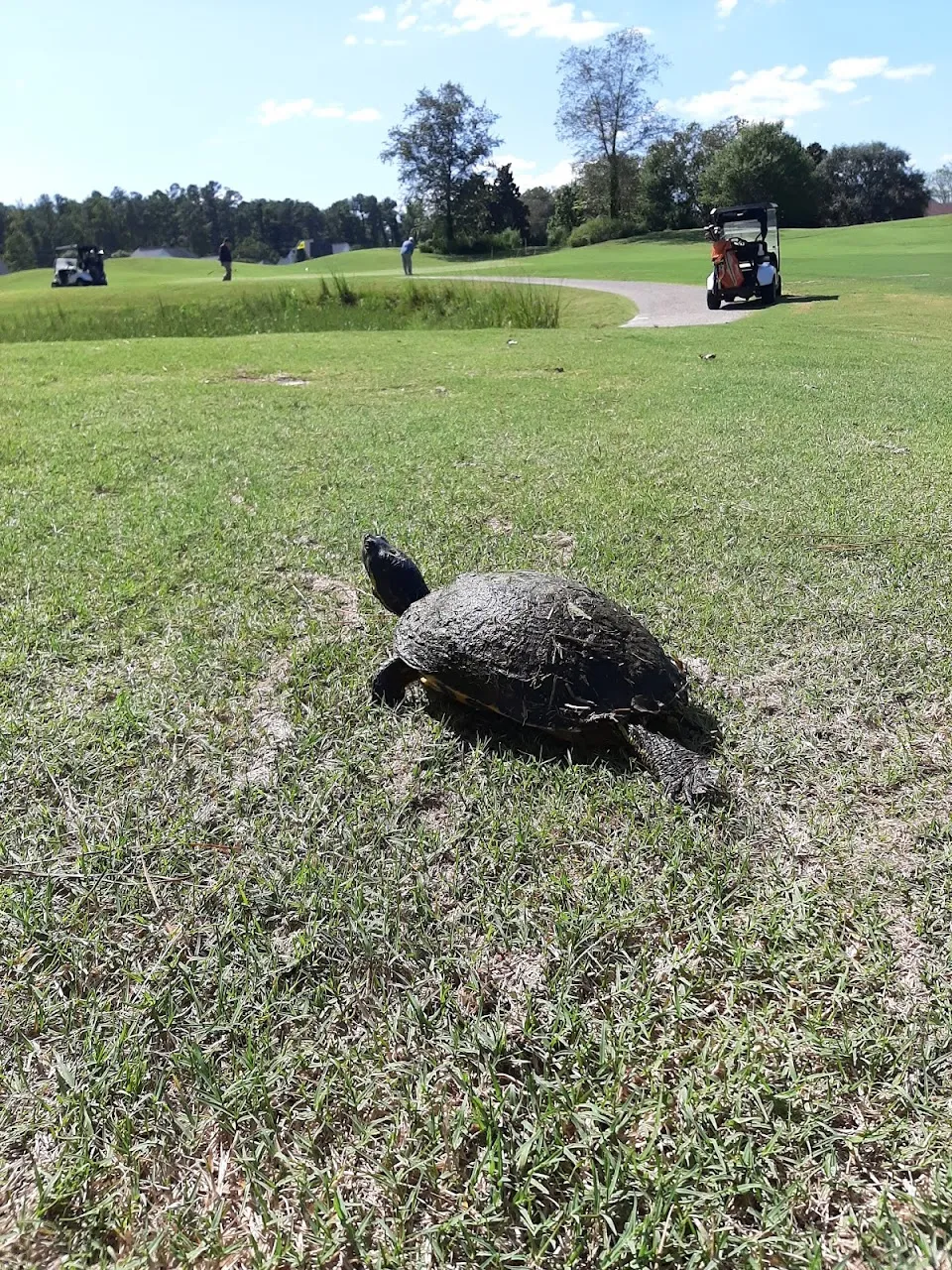 Traces Golf Club & Shankers Grille