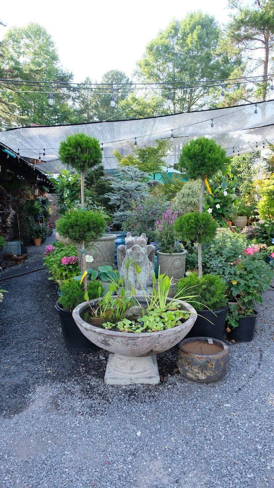Harvest Moon - Antiques, Garden & Art