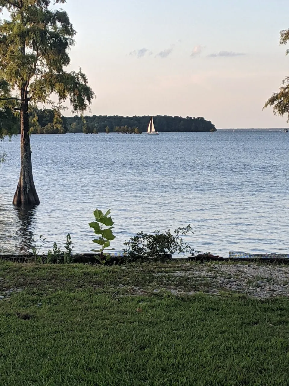 Rocks Pond campground & marina