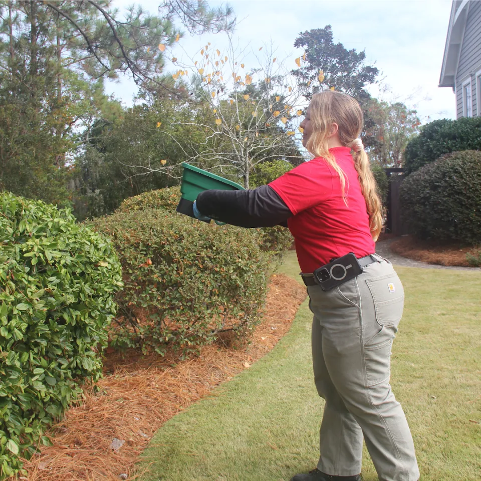 Palmetto Exterminators