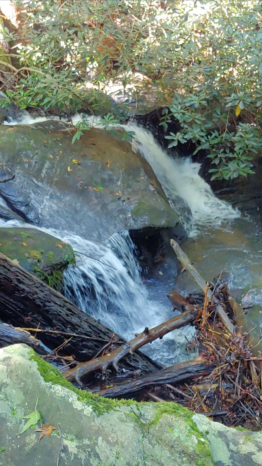 Opossum Creek Falls