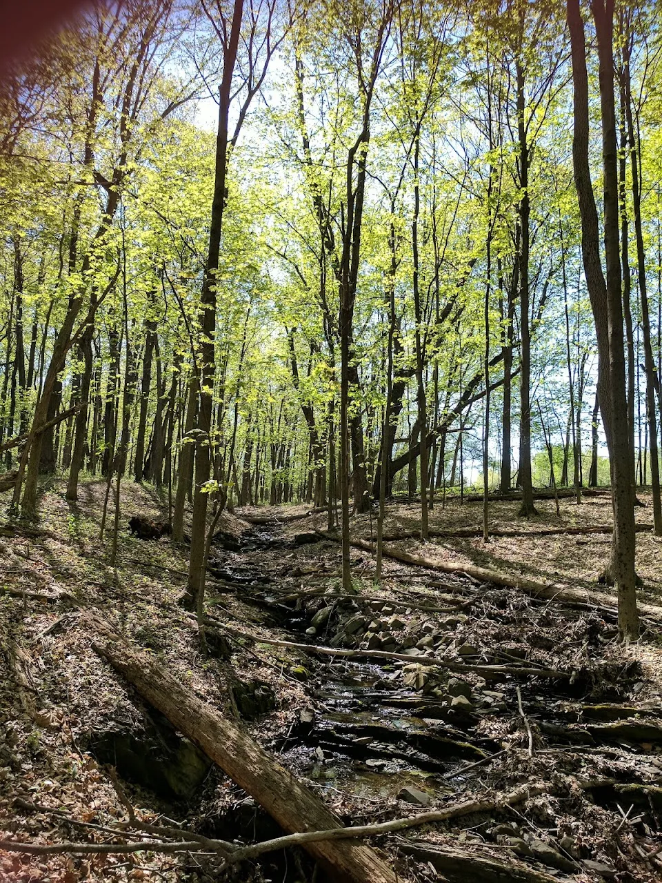 Hamptonburgh Preserve