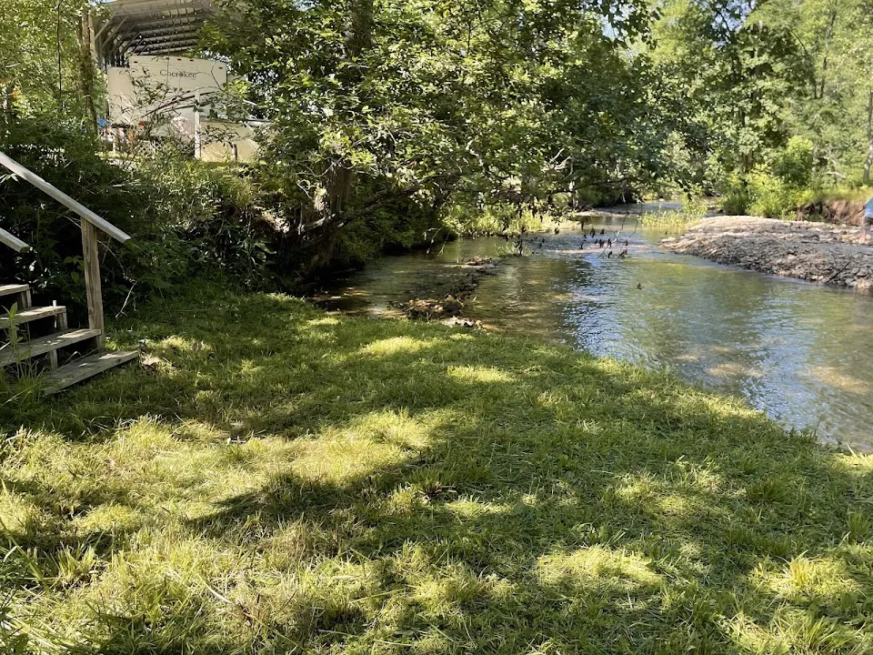 Coweeta Creek Private Campground