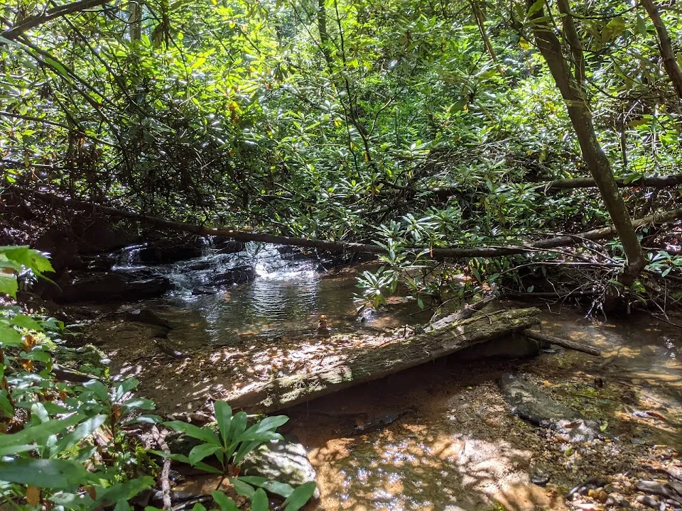 Fall Creek Falls 1