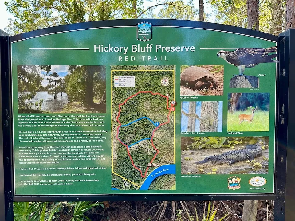 Hickory Bluff Preserve