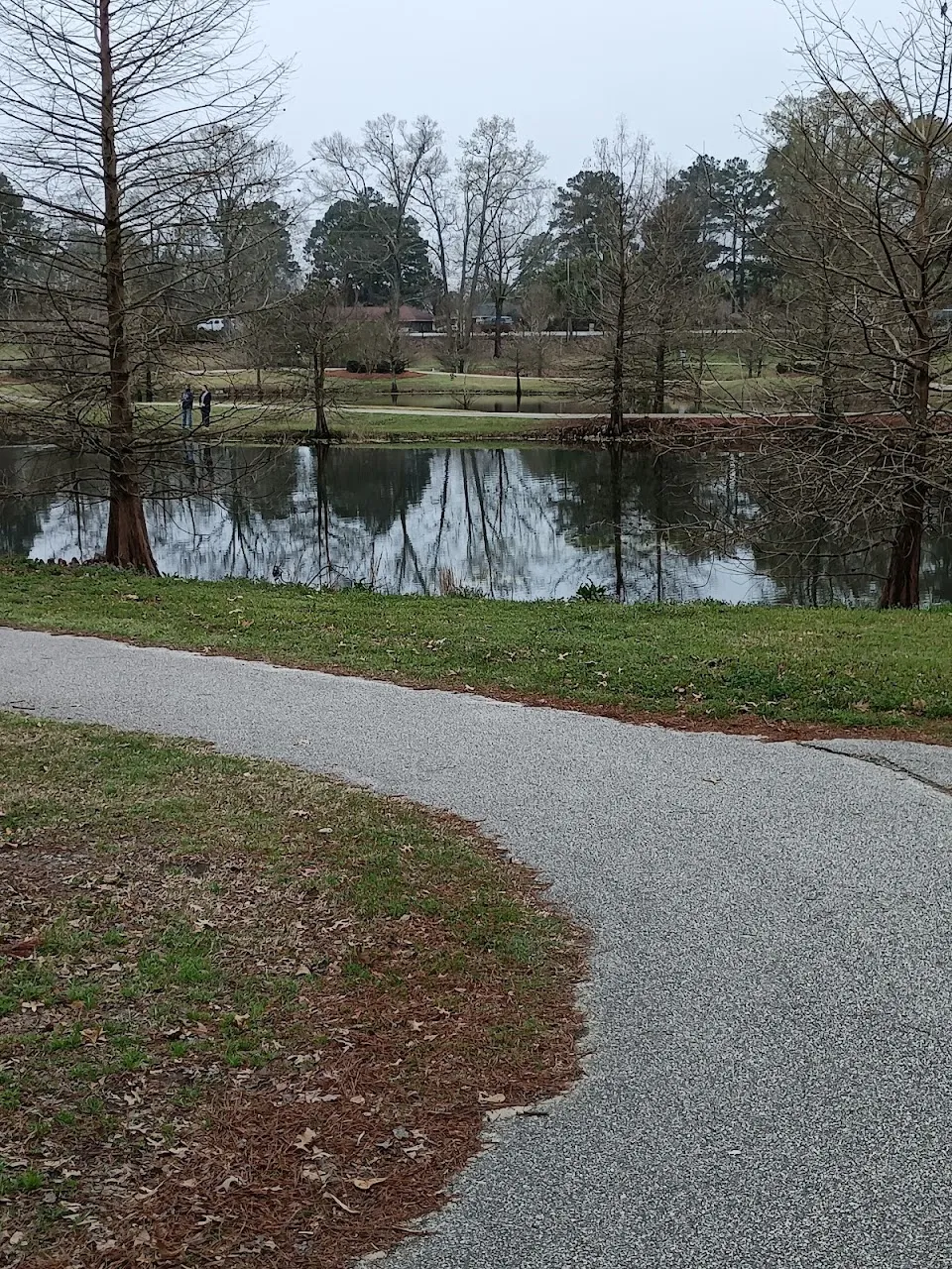 Palmetto Park