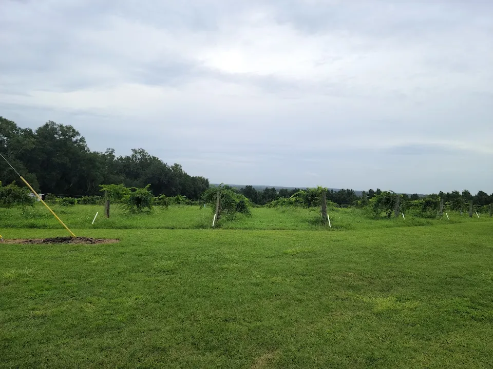 Sparacia Witherell Family Winery & Vineyards