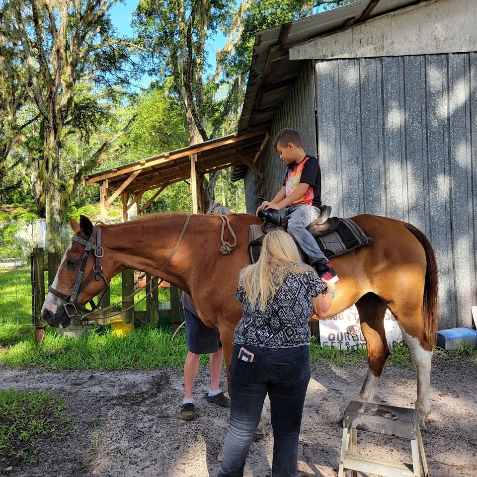 Shenandoah Stables