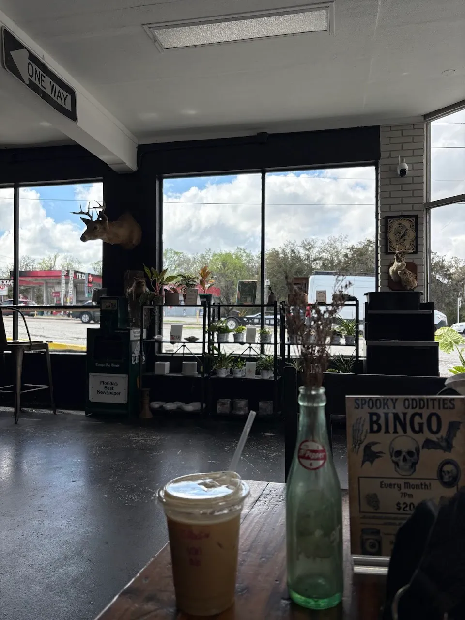 Haggard Coffee & Oddities