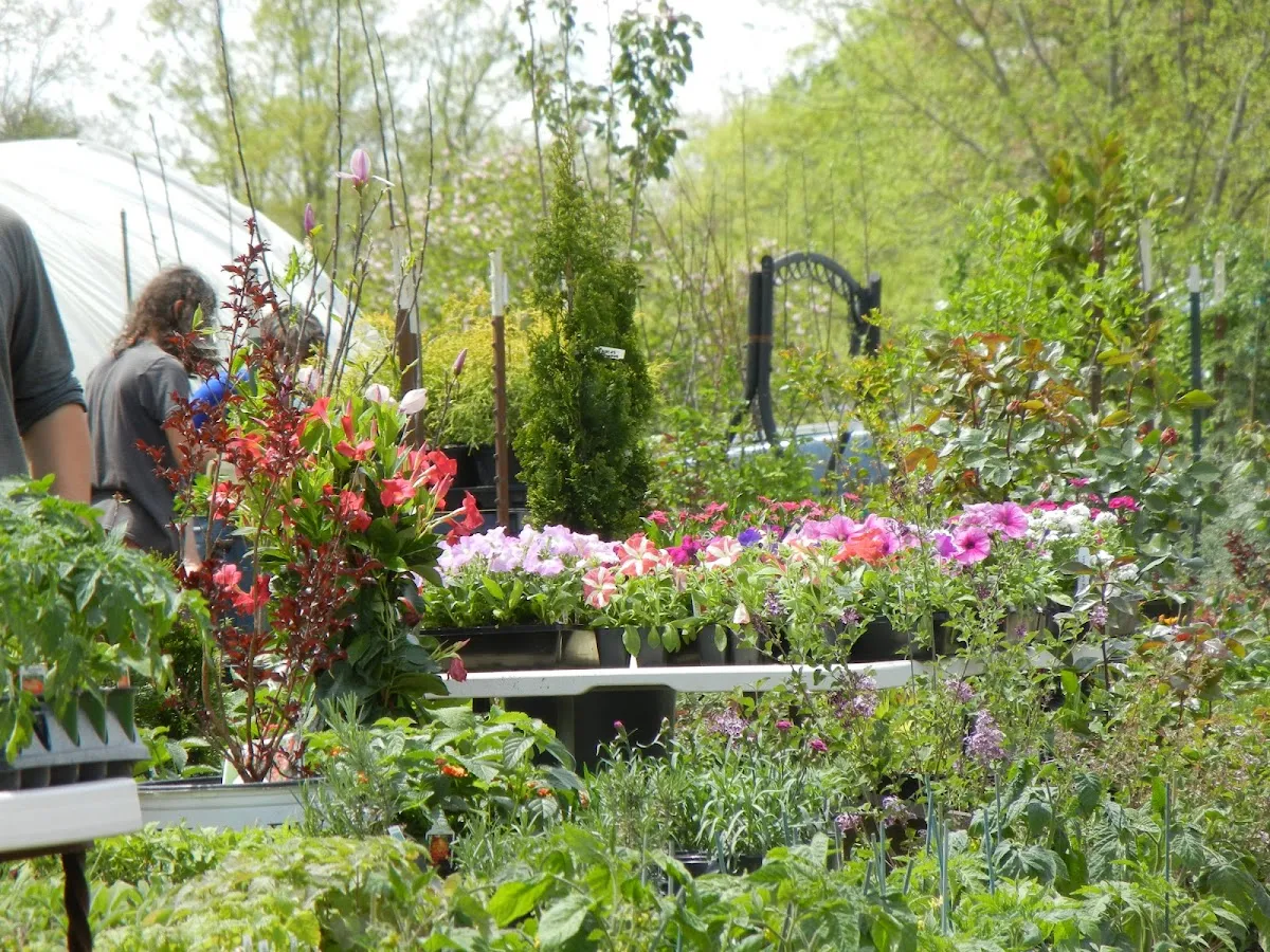 Beautiful Earth Garden Shop