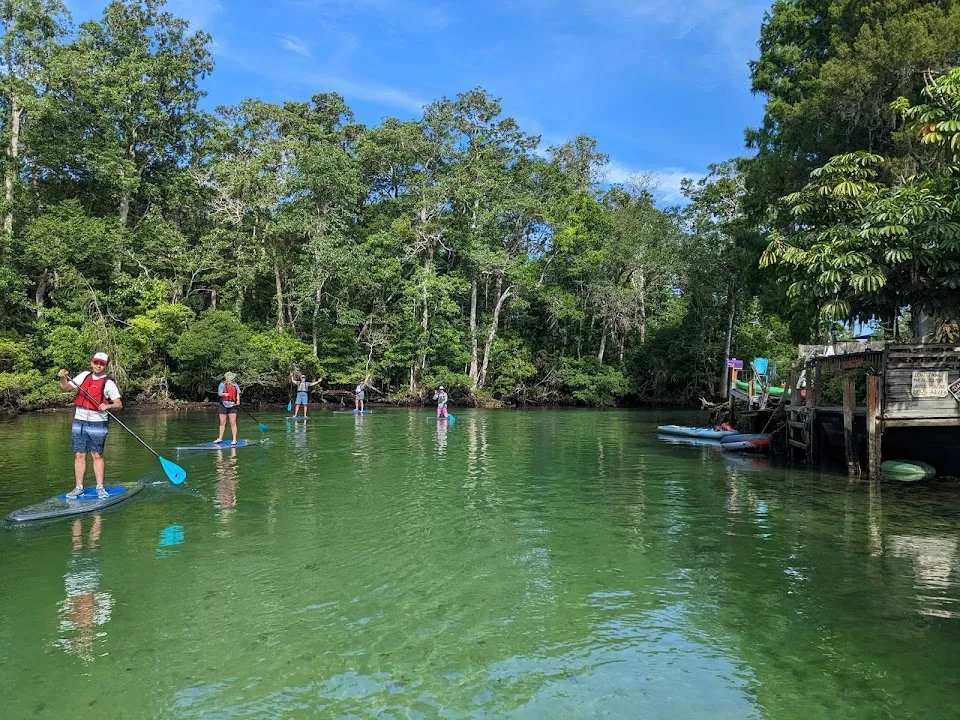 Get Up And Go Kayaking - Weeki Wachee