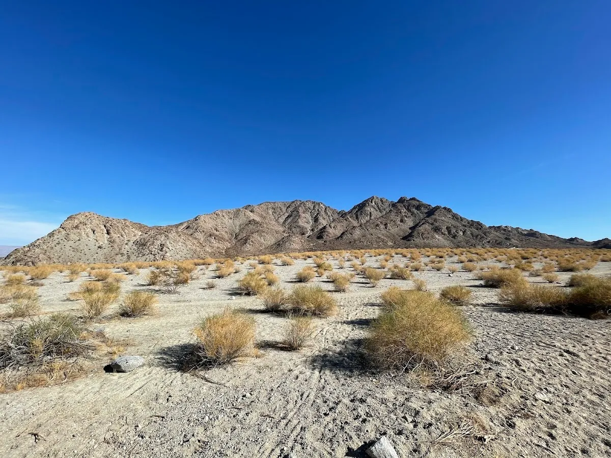 Boo Hoff Trail